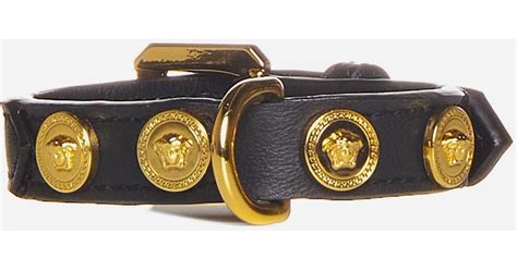 versace cat collar|versace medusa dog collar.